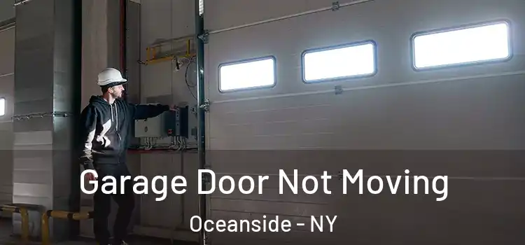  Garage Door Not Moving Oceanside - NY