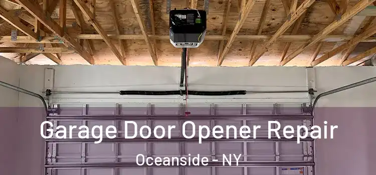  Garage Door Opener Repair Oceanside - NY