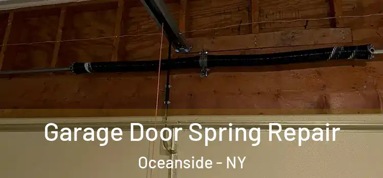  Garage Door Spring Repair Oceanside - NY